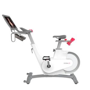 Купить Велотренажер Yesoul BV1-W PLUS в Гвардейске 
